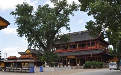 上海報國(guó)寺