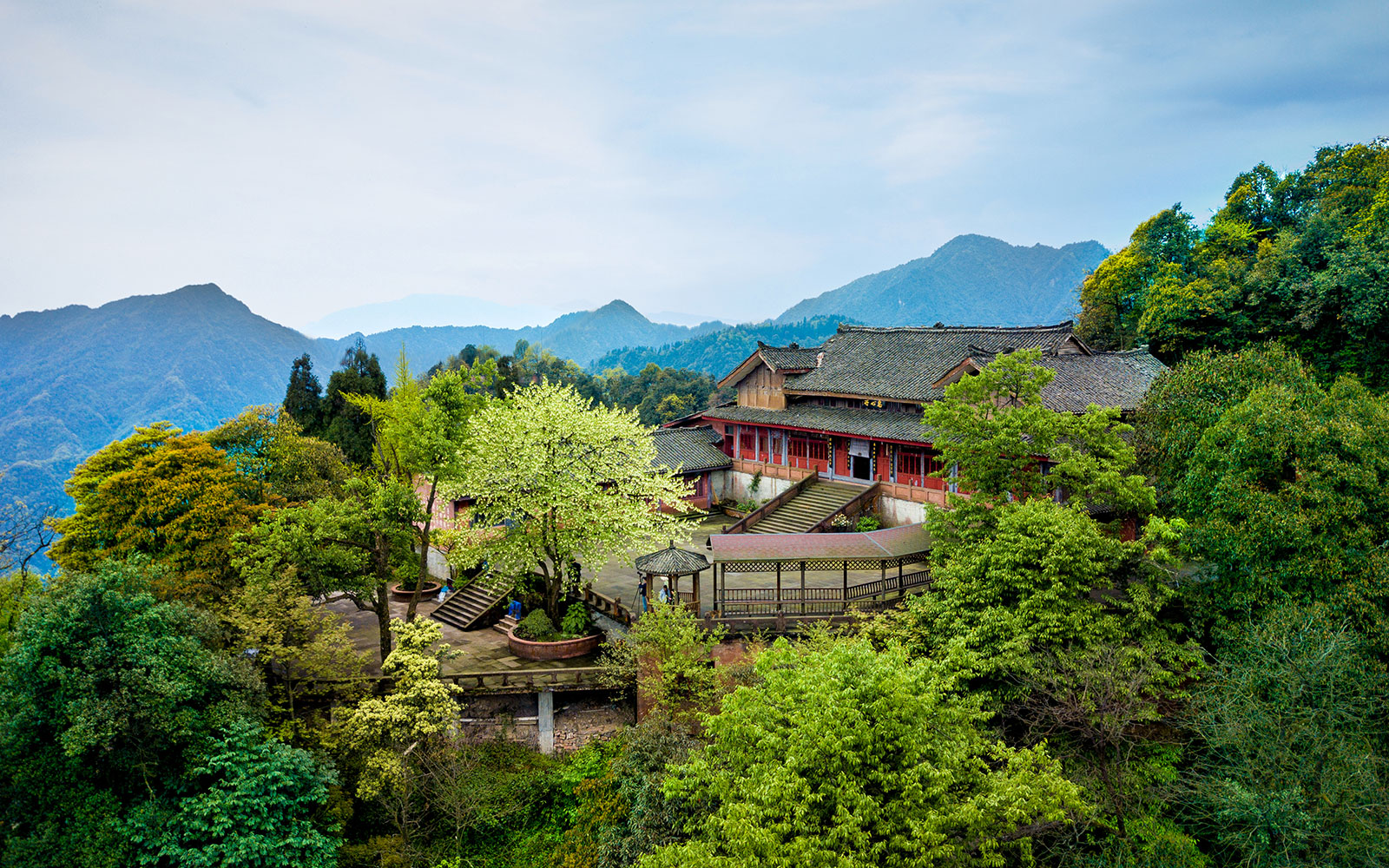 峨眉山春季盛景：息心所裡(lǐ)珙桐開(kāi) 一樹奇花鴿翩然