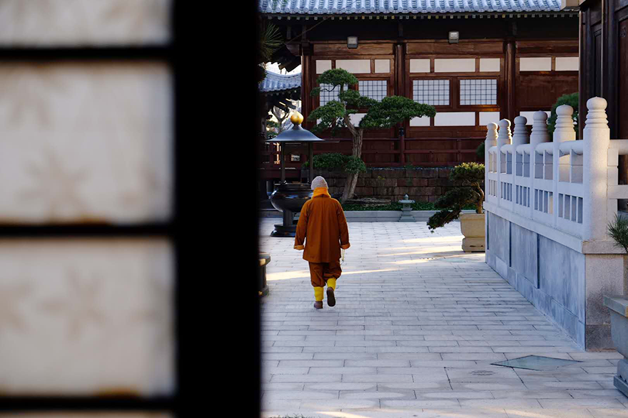 水上荷花——甯波甯海廣德寺