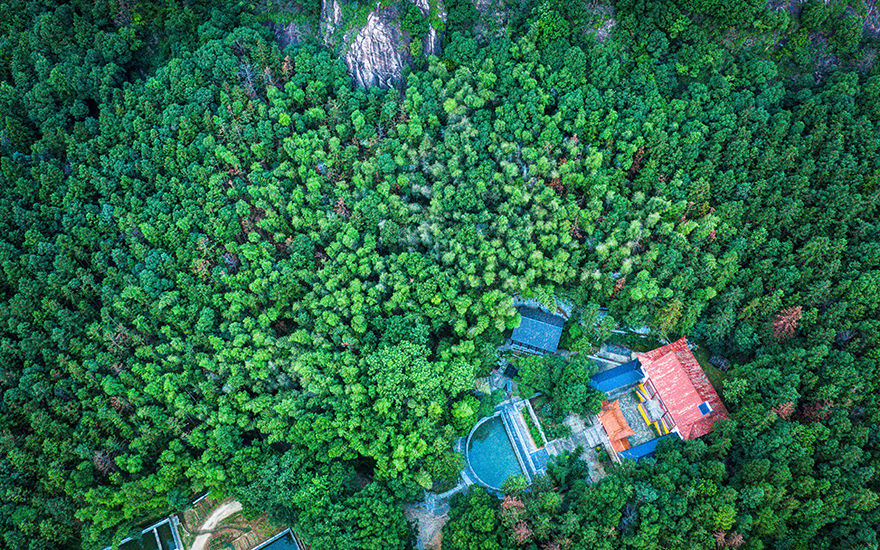 從前有座山，山裡(lǐ)有座廟，寺周萬株杉