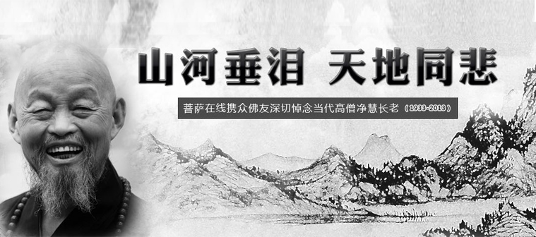 山河垂淚 天地同悲 淨慧長(cháng)老舍報圓寂